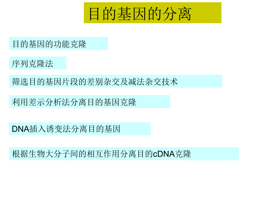 酵母杂交技术原理及应用_第1页