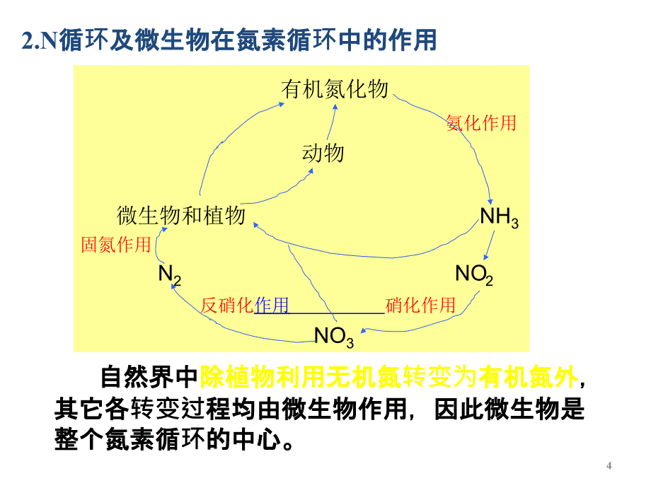 八章微生物在环境物质循环中的_第4页