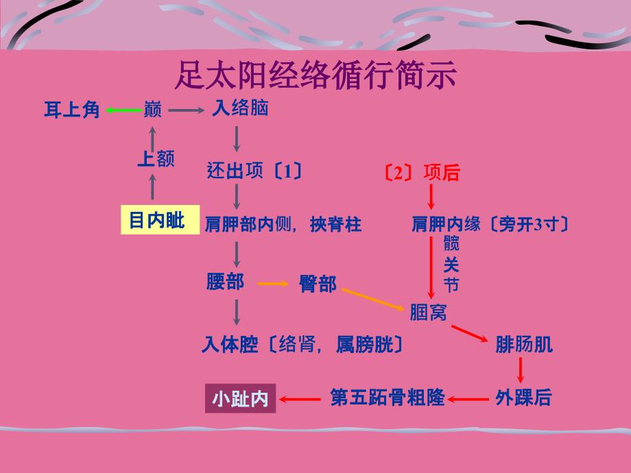 人体经络穴位图谱7膀胱经ppt课件_第4页