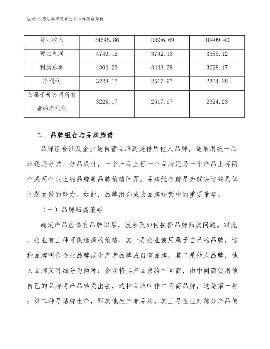 闪蒸法非织造布公司品牌策略分析_参考_第4页