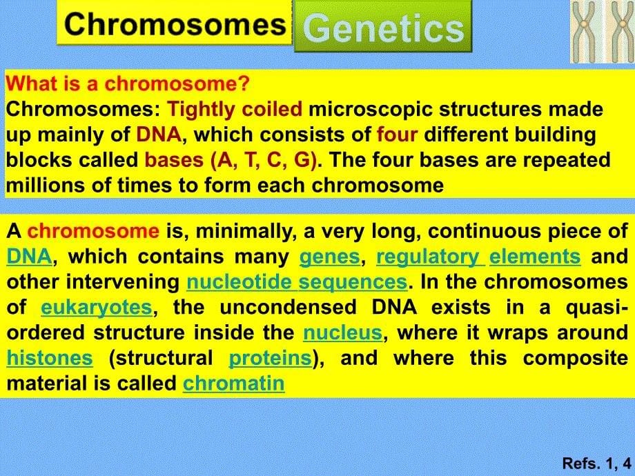 病理学含口腔病理学_第5页