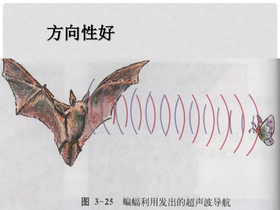 八年级物理上册 1.4《人耳听不见的声音》课件2 苏科版_第5页