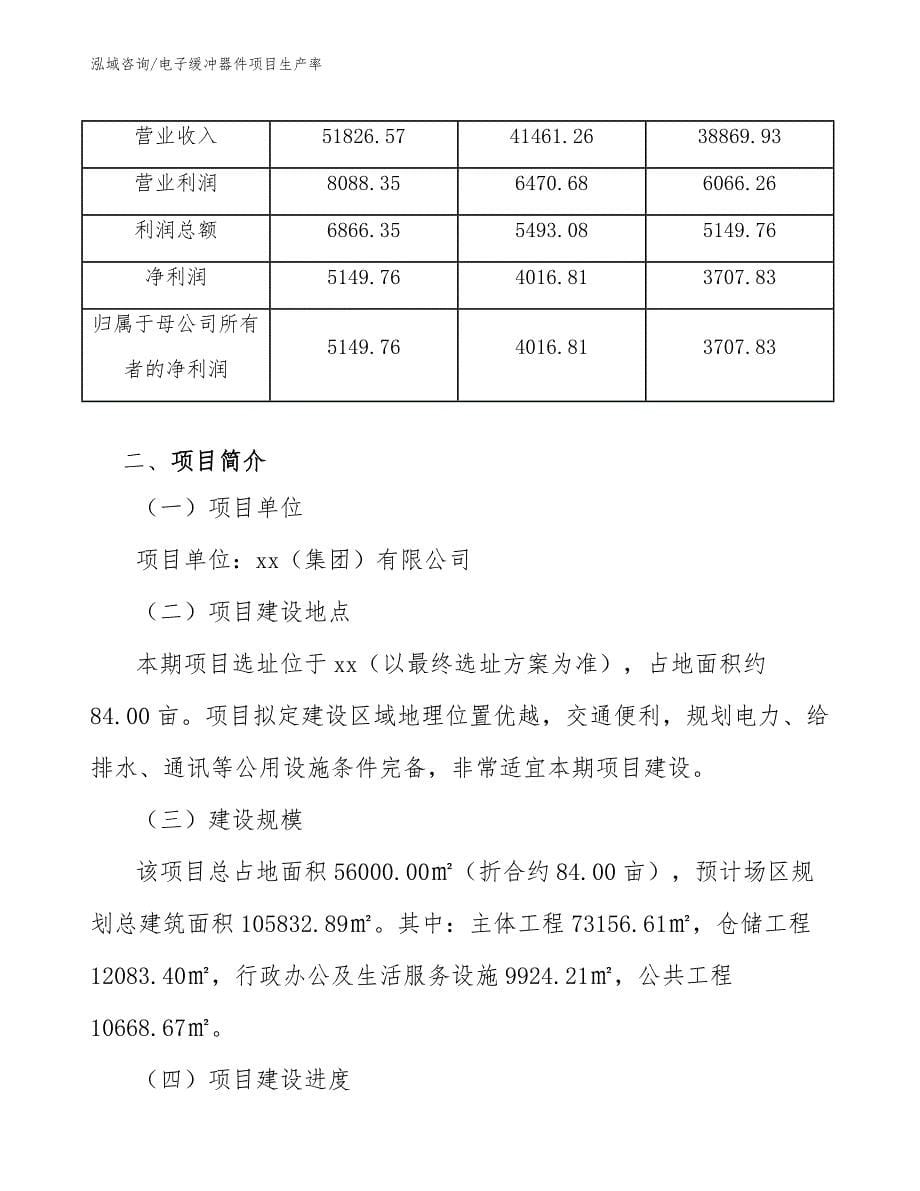 电子缓冲器件项目生产率_第5页