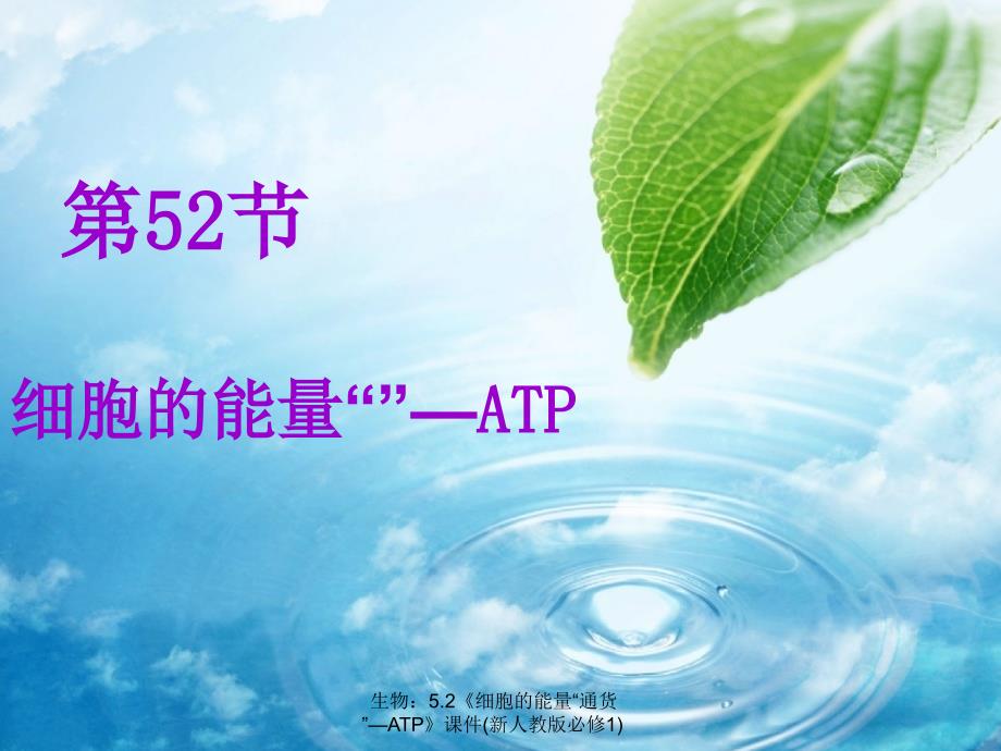 新人教版必修生物课件《细胞的能量“通货”—ATP》_第1页