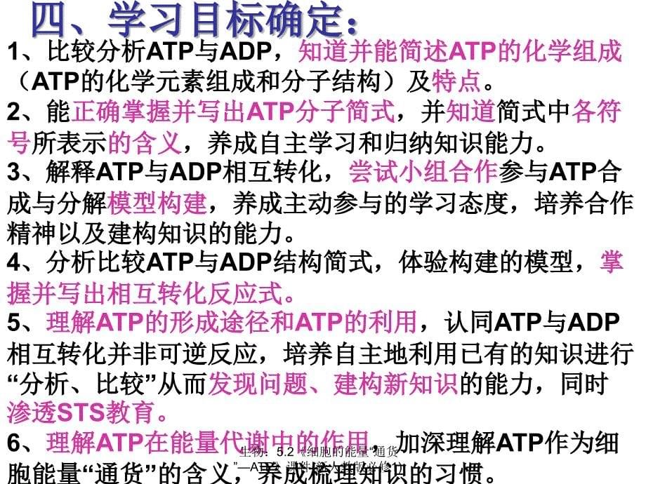 新人教版必修生物课件《细胞的能量“通货”—ATP》_第5页