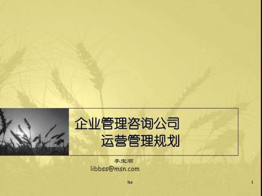 咨询公司运营管理规划_第1页