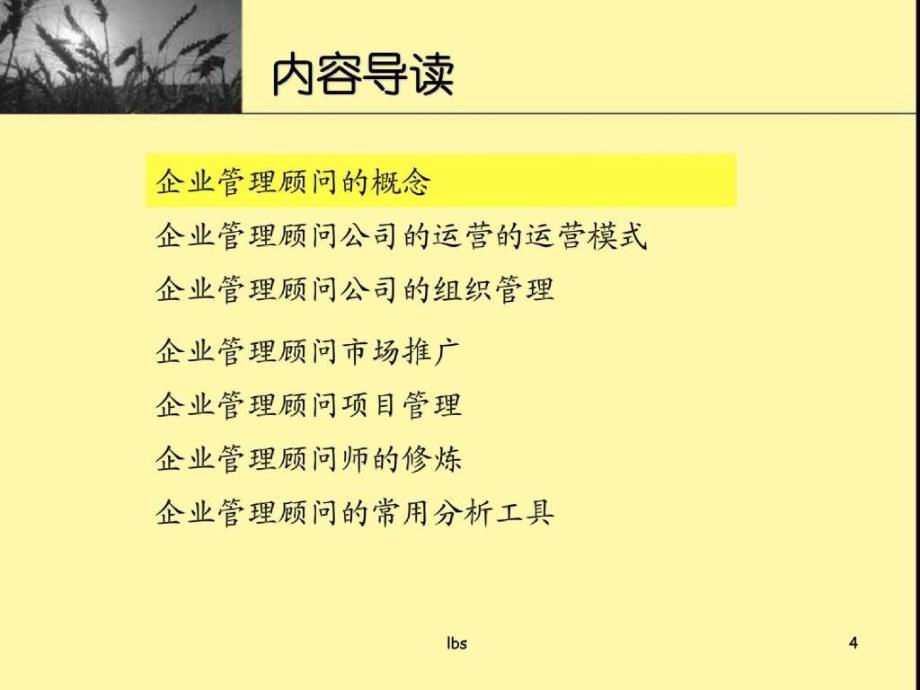 咨询公司运营管理规划_第4页