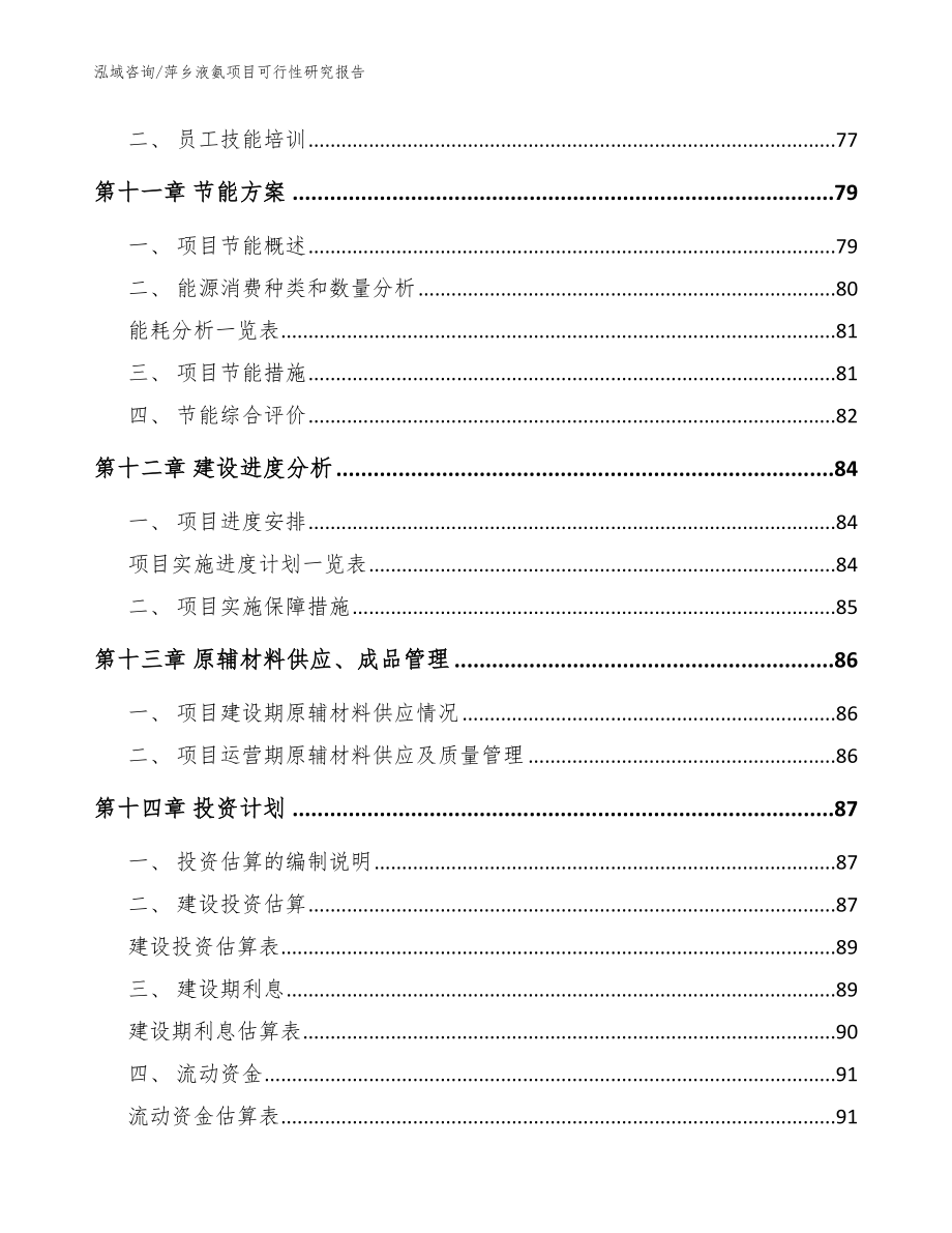 萍乡液氨项目可行性研究报告【模板参考】_第4页