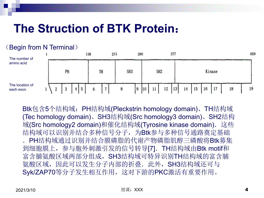 X连锁无丙种球蛋白血症XLAPPT参考课件_第4页