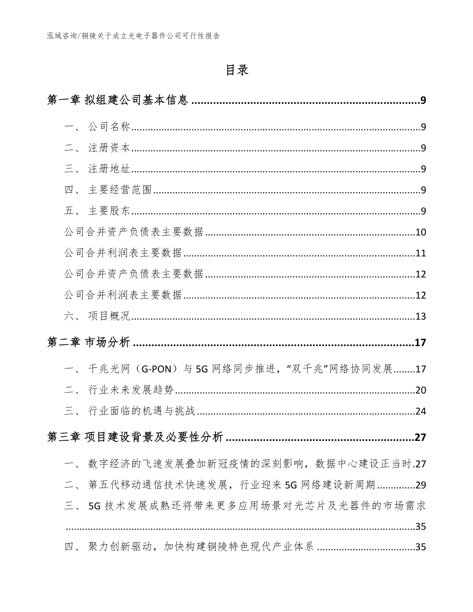 铜陵关于成立光电子器件公司可行性报告（模板）_第2页