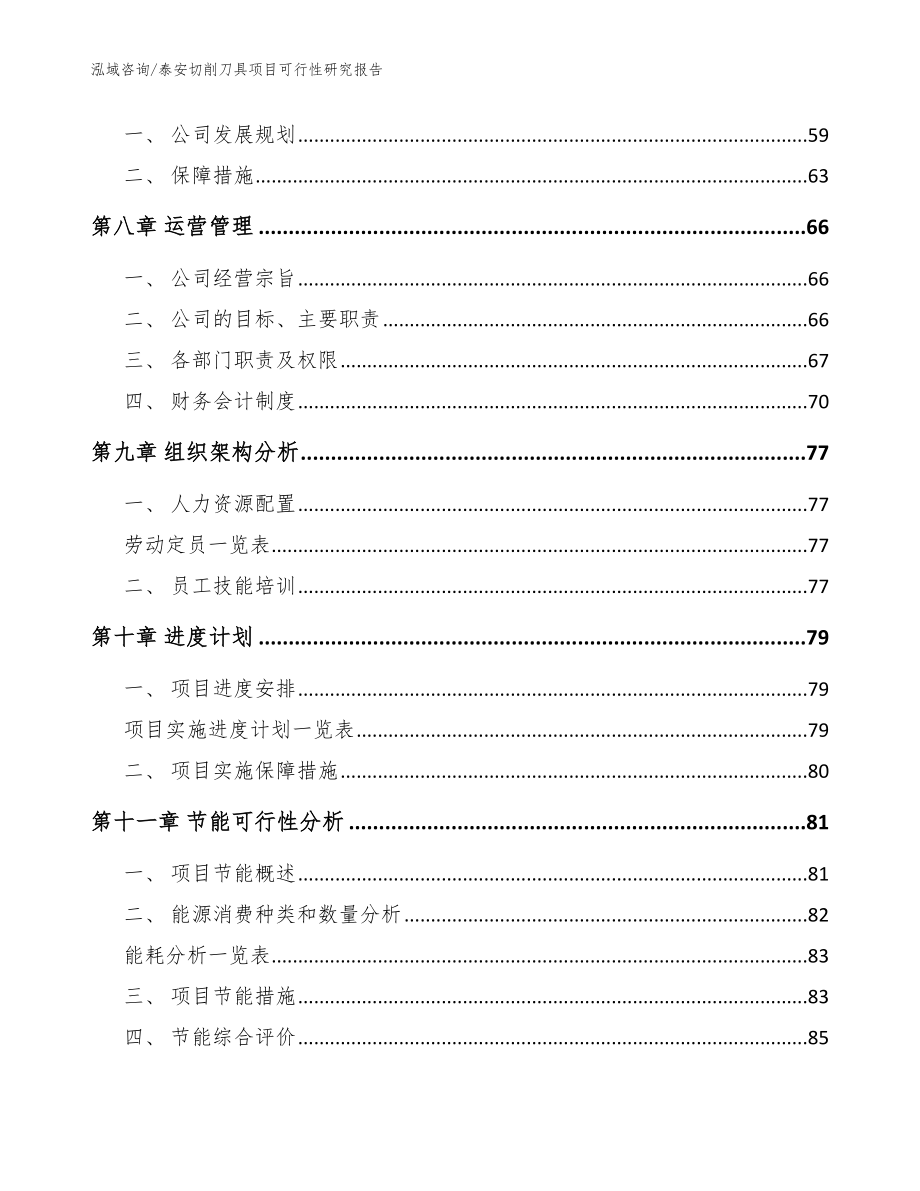 泰安切削刀具项目可行性研究报告（参考范文）_第4页