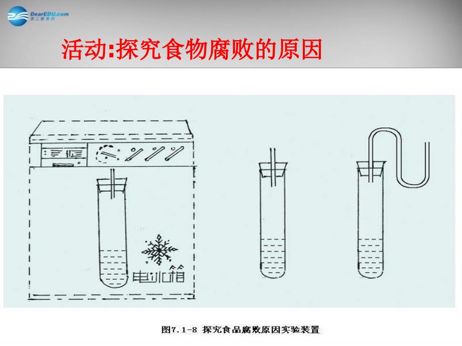 八年级生物下册第七单元第一章第二节食品保存课件济南版_第3页