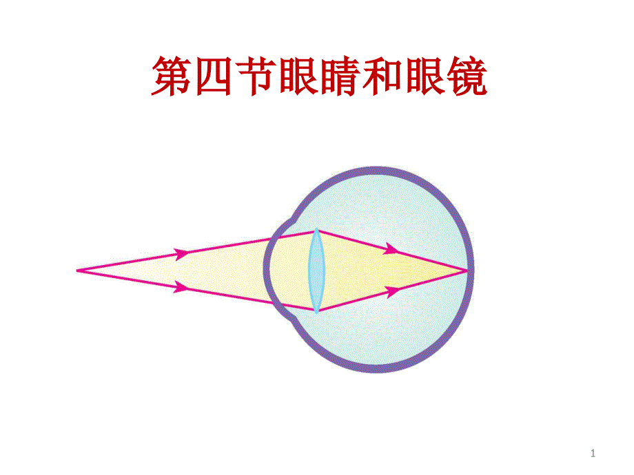 八年级新人教版5.4眼睛和眼镜课件.ppt_第1页