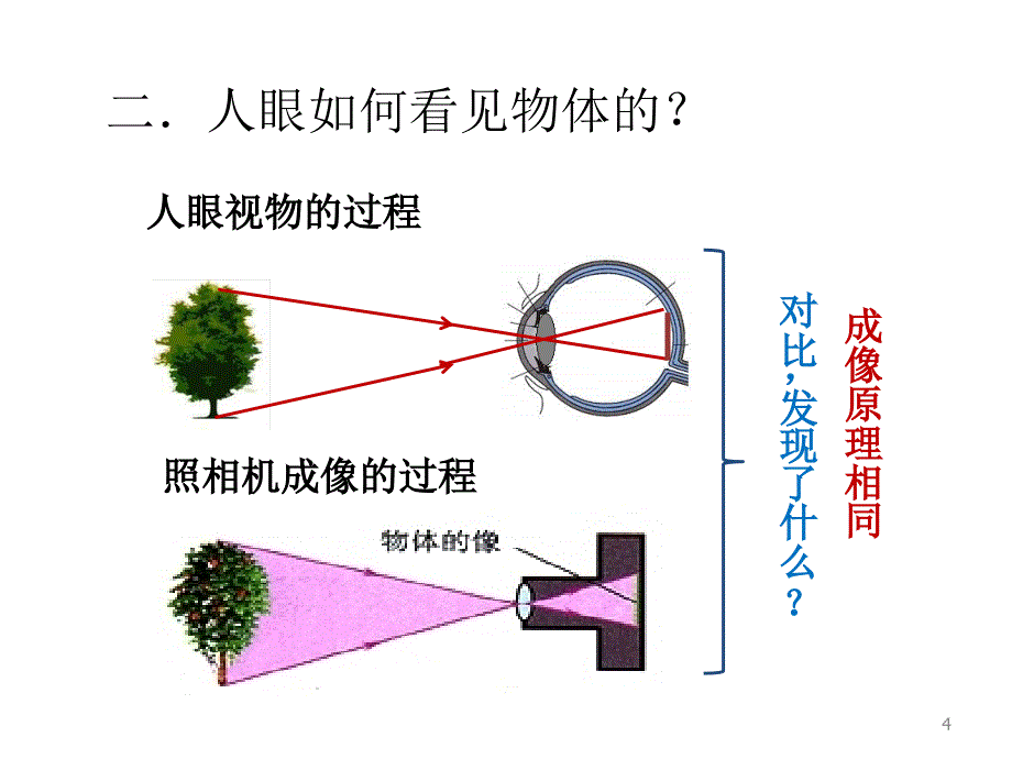 八年级新人教版5.4眼睛和眼镜课件.ppt_第4页