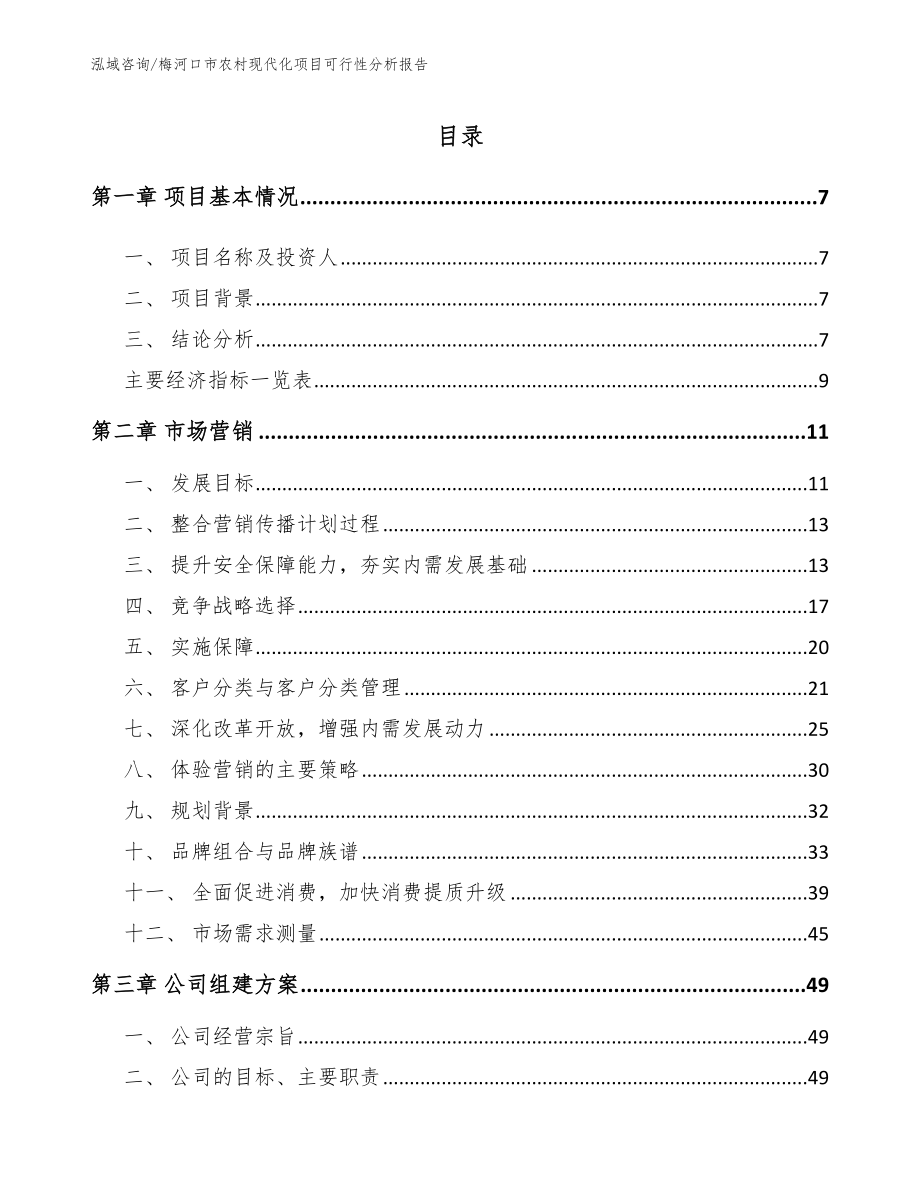 梅河口市农村现代化项目可行性分析报告_第2页