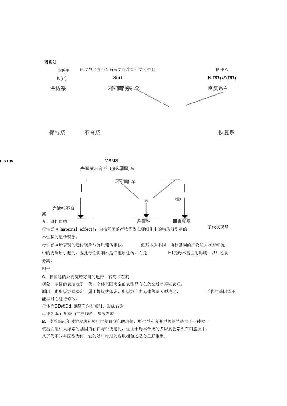 遗传学第十一章细胞质遗传复习总结_第5页