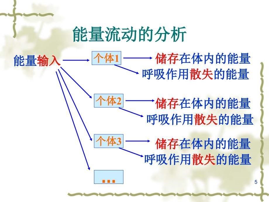 生态系统的能量流动可用_第5页