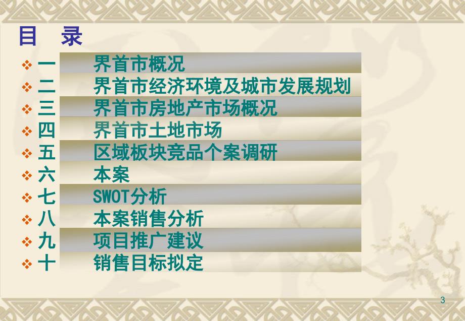 安徽界首市房地产市调报告_第3页