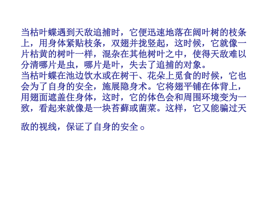 枯叶蝶是怎样施展自己的隐身术的呢原来_第4页