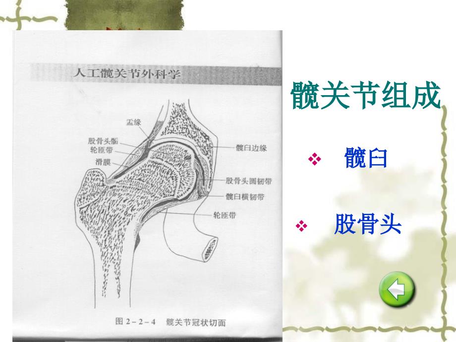 护理股骨颈骨折病人的护理_第4页