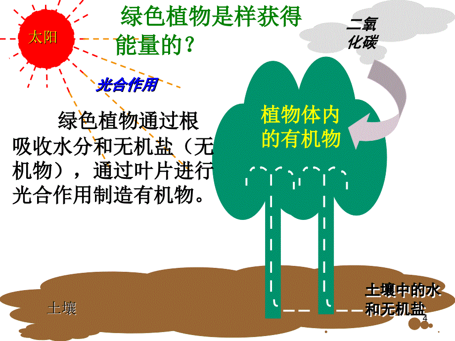 生物代谢的多样性浙教版_第4页