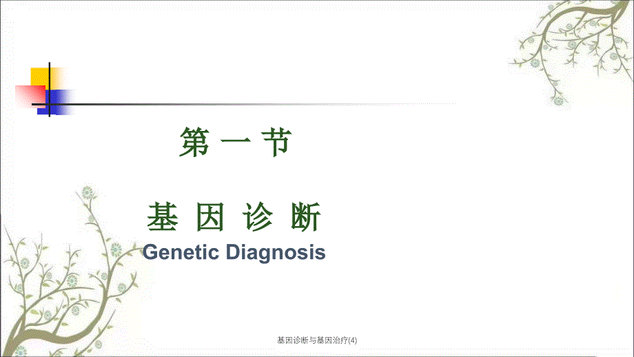 基因诊断与基因治疗4课件_第3页