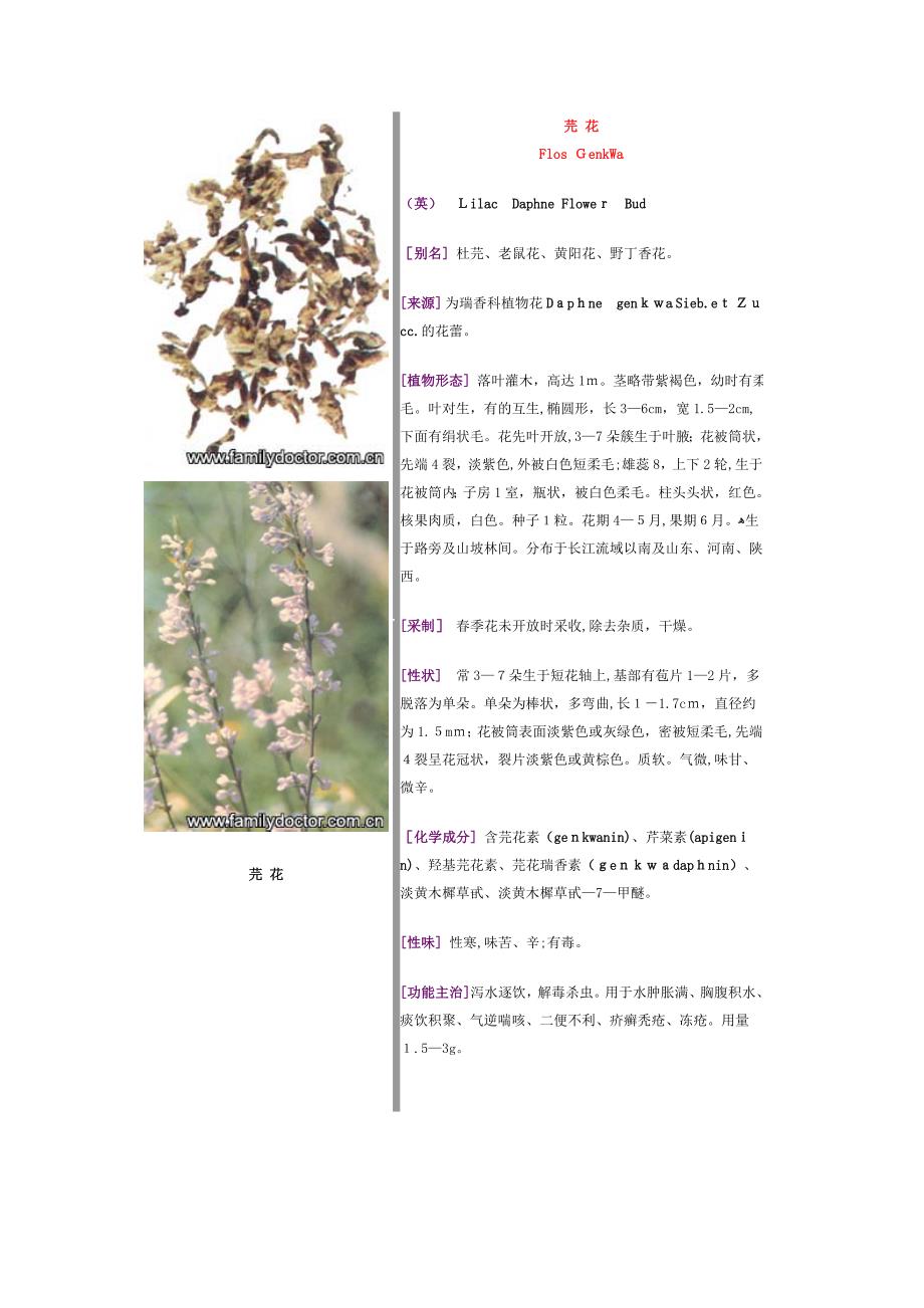 常见中草药—花类_第4页