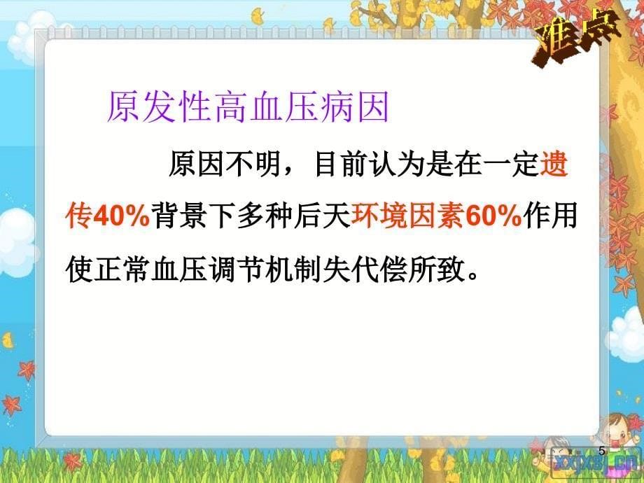 （优质课件）高血压病健康教育知识讲座_第5页