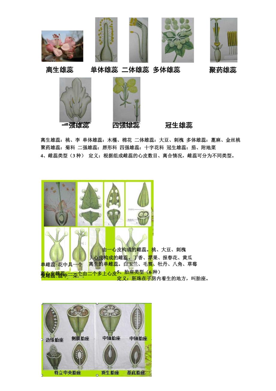 植物生理学复习资料_第2页