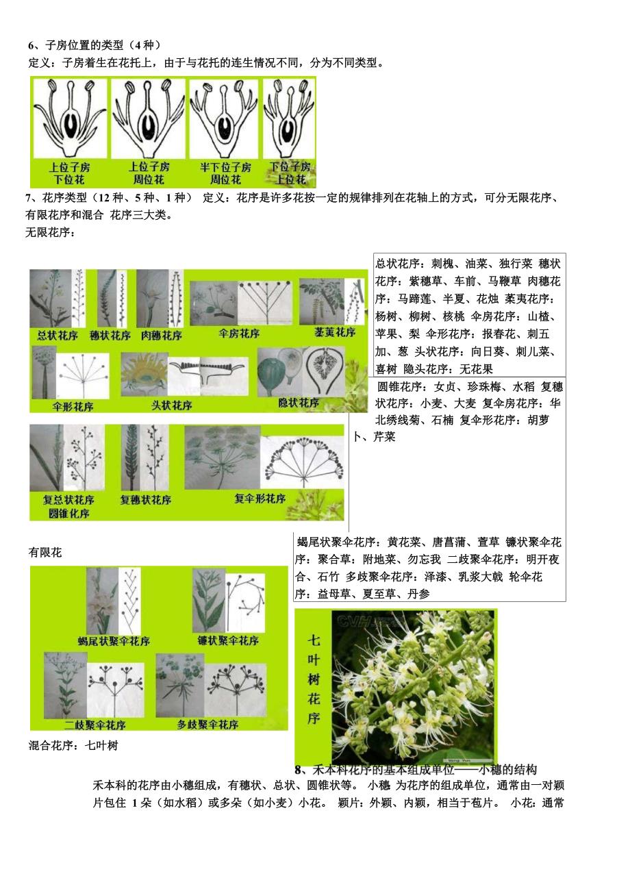 植物生理学复习资料_第3页