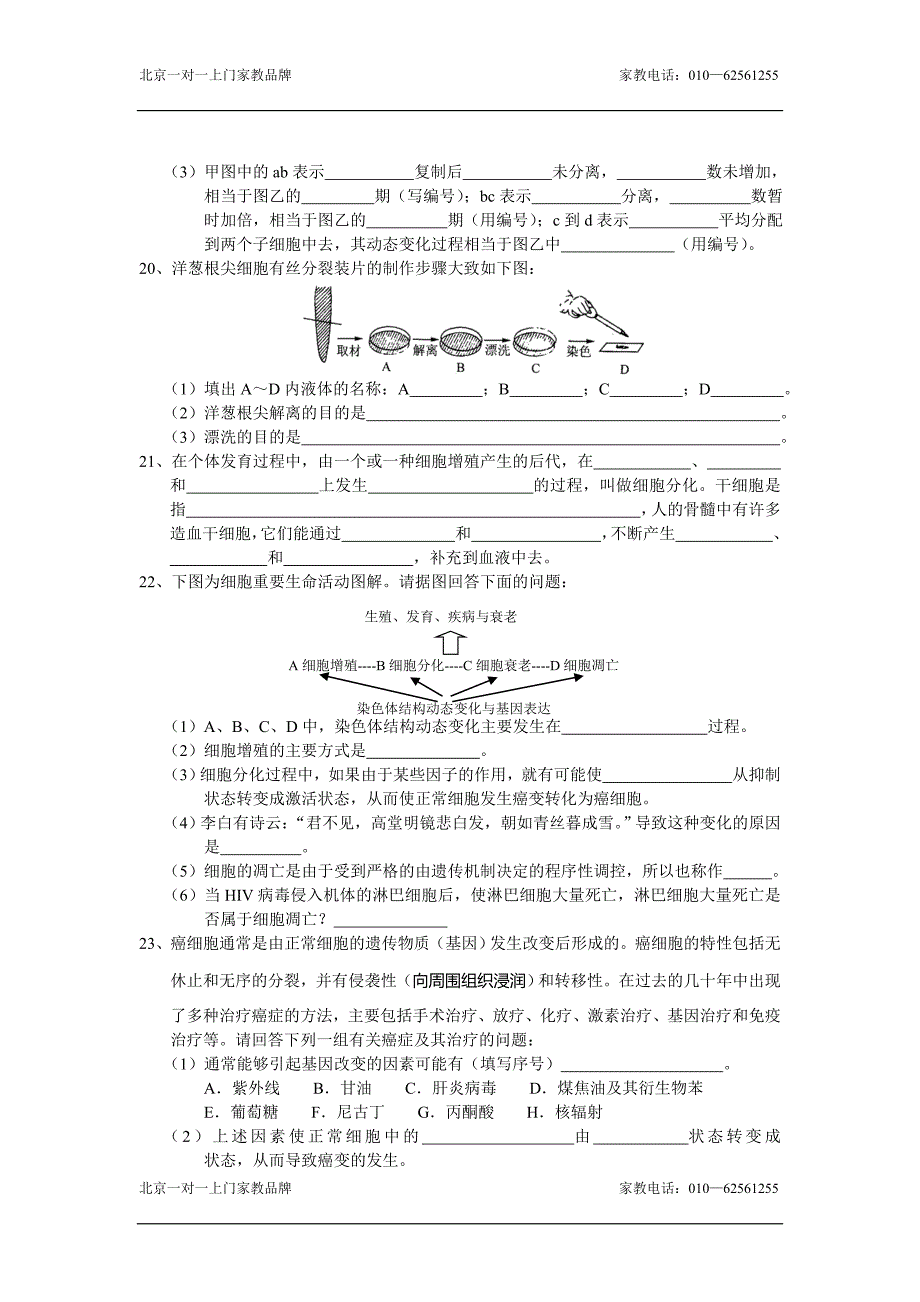 高一生物细胞的生命历程练习题.doc_第3页