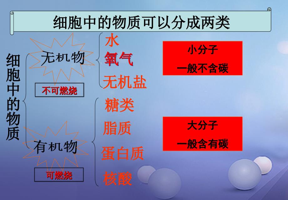 七年级生物上册 2.1.4 细胞的生活 （新版）新人教版_第3页