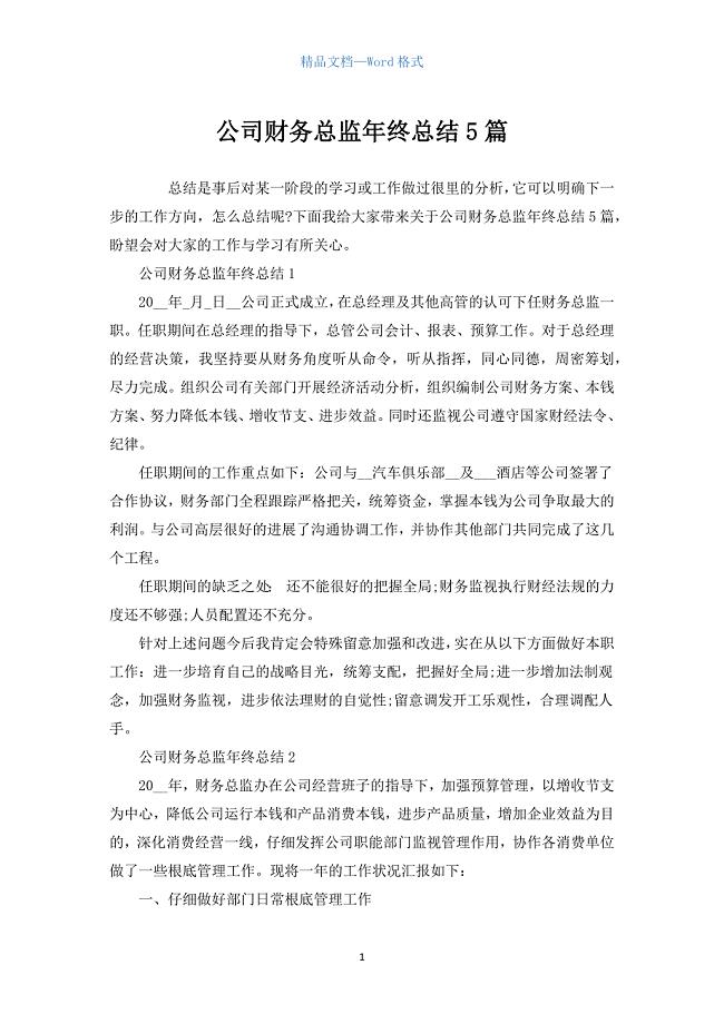 公司财务总监年终总结5篇.docx