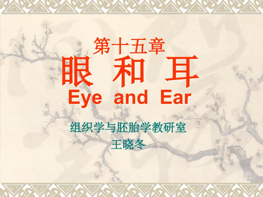 十五章眼和耳Eyeandar_第1页