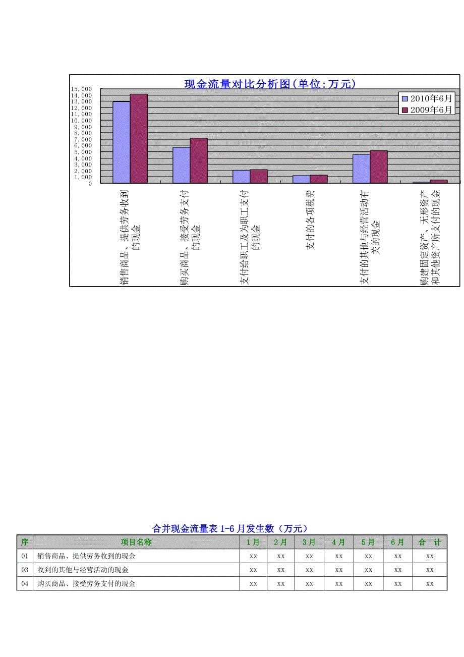 财务分析报告模板_第5页