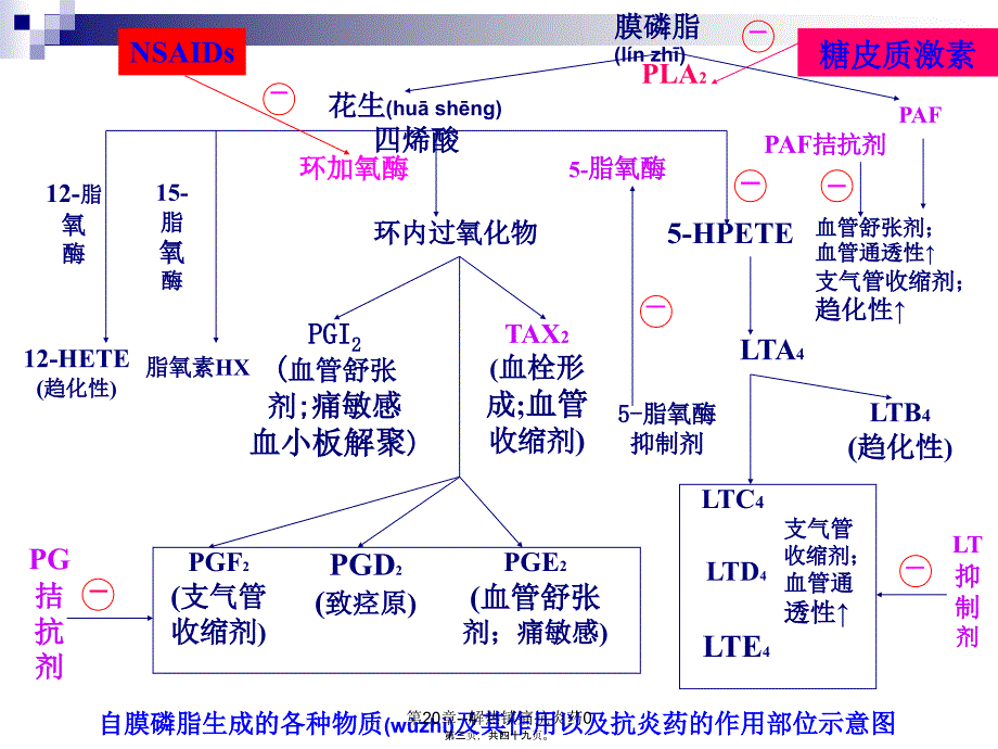 第20章解热镇痛抗炎药0课件_第3页