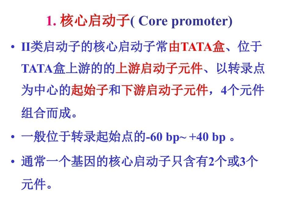 医学分子生物学原理：第二章 真核基因表达与调控_第5页