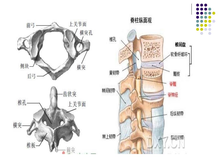 颈椎病围手术期的护理_第3页