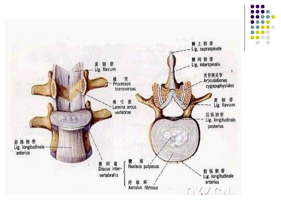 颈椎病围手术期的护理_第4页