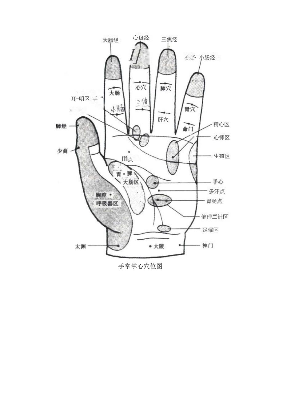 治疗白发、哮喘手上穴位_第4页