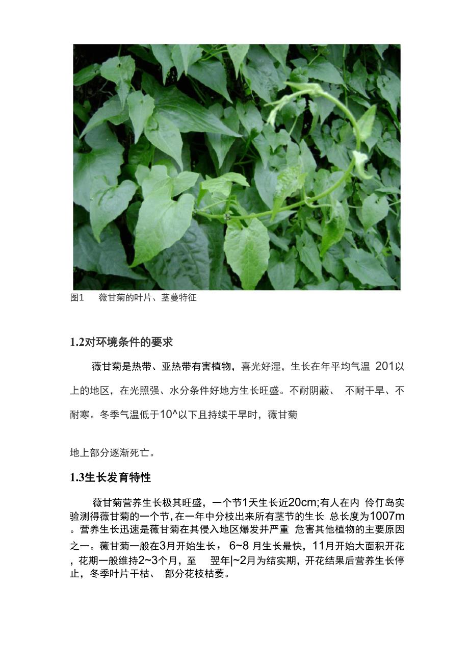 薇甘菊及其防治技术方案_第2页