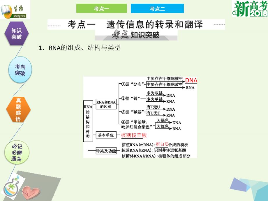 高考生物第六单元 基因的本质与表达 第3讲 基因的表达_第2页