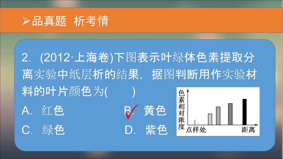 第三节光能的捕获和利用 (3)_第3页