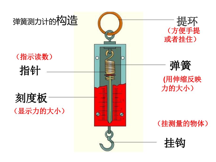 44测量力的大小_第3页