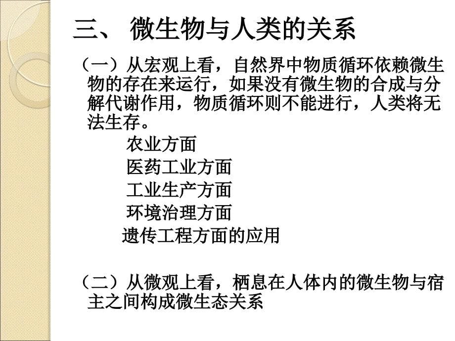 细菌的形态学_第5页