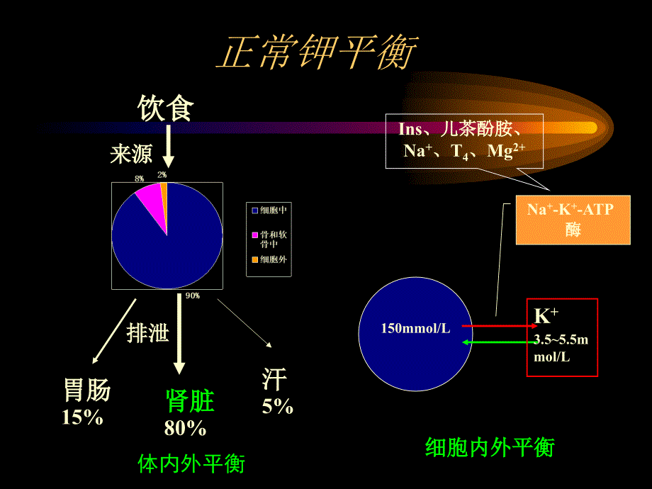 内分泌疾病相关性低钾血症.ppt_第2页