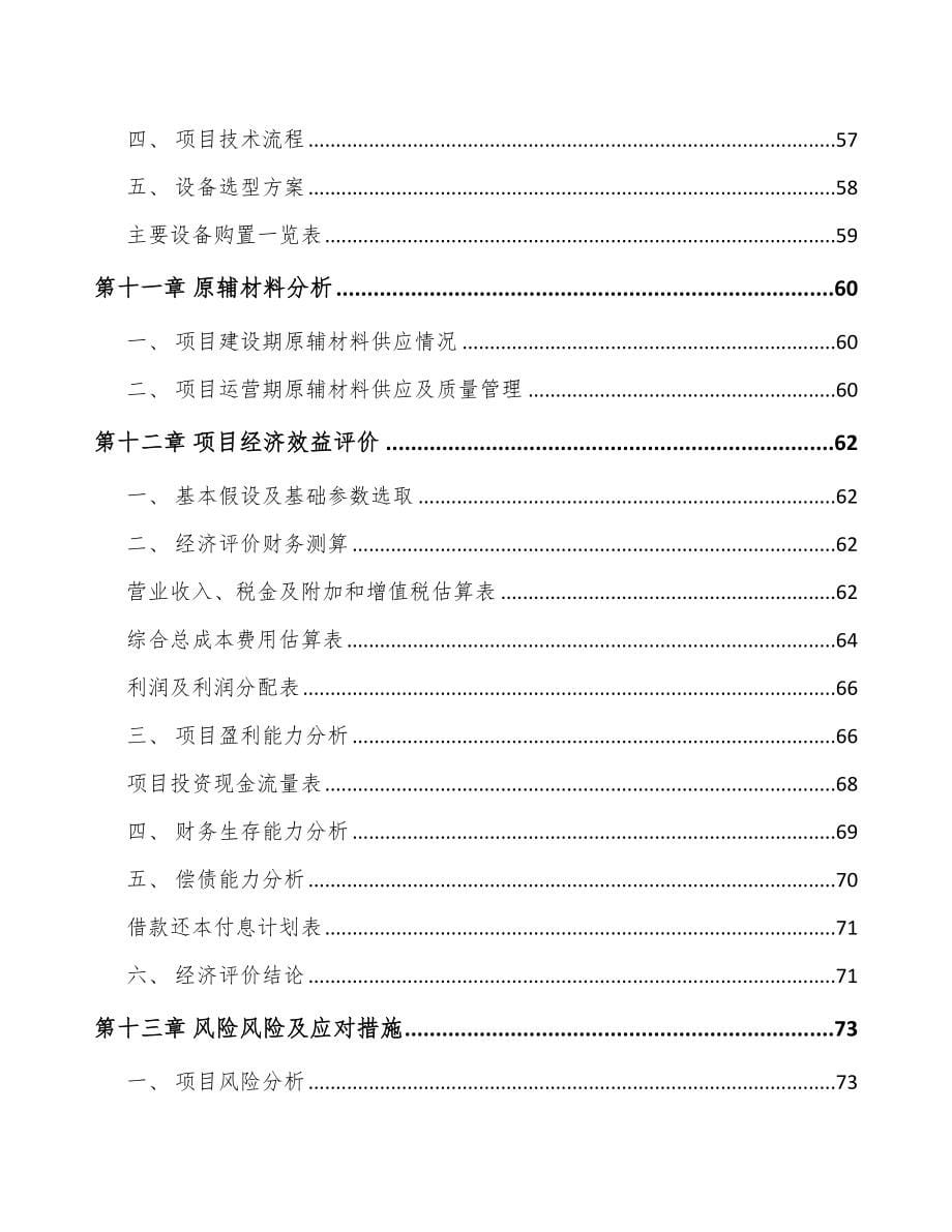 江苏复合纤维面料项目可行性研究报告_第5页