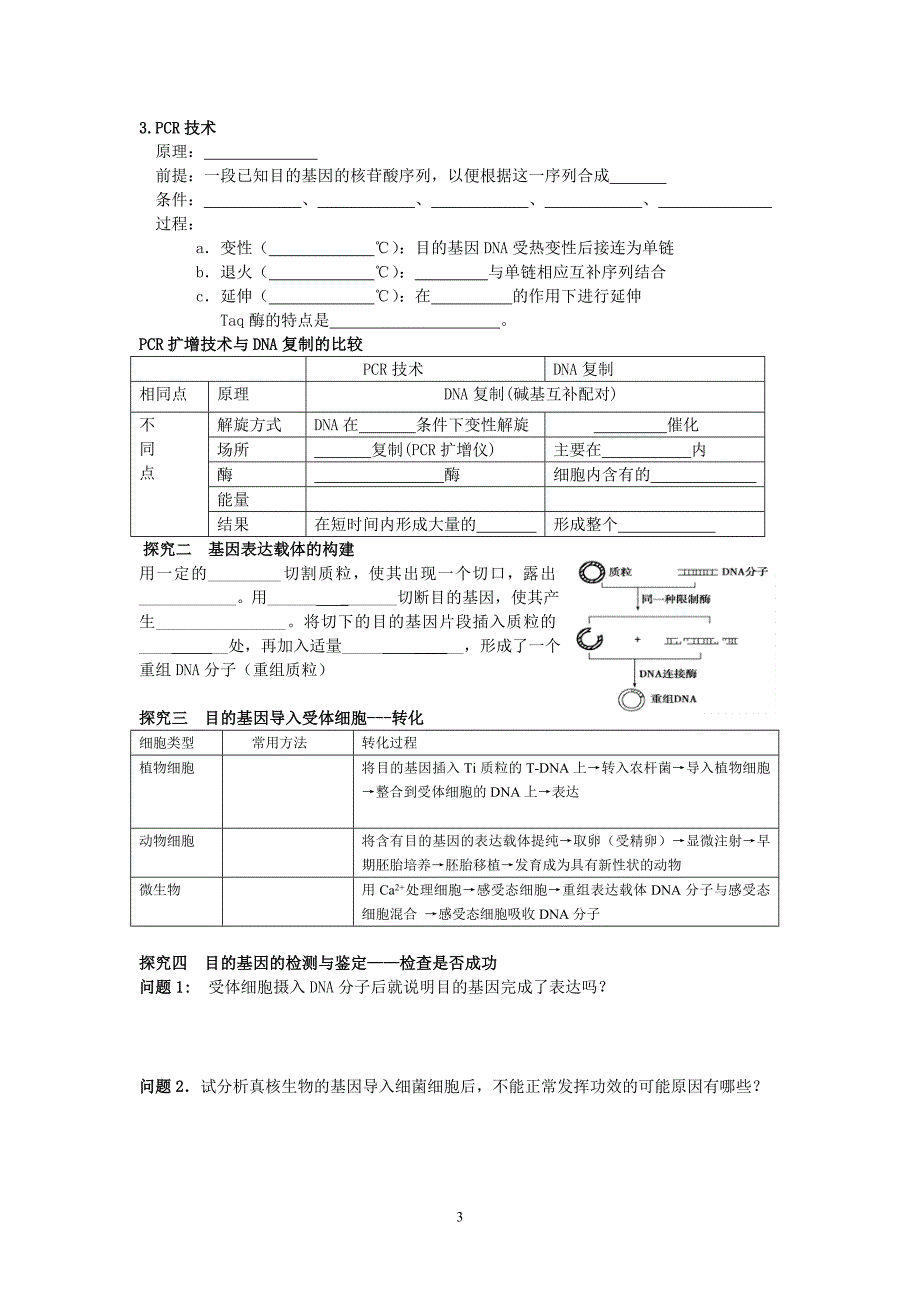 基因工程的基本操作程序学案_第3页