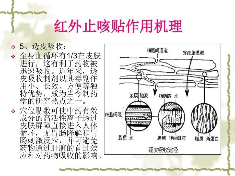 红外止咳贴穴位止咳_第5页