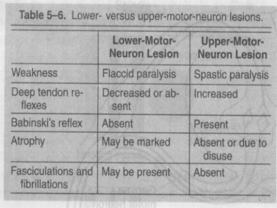 运动神经元疾病ppt课件_第5页